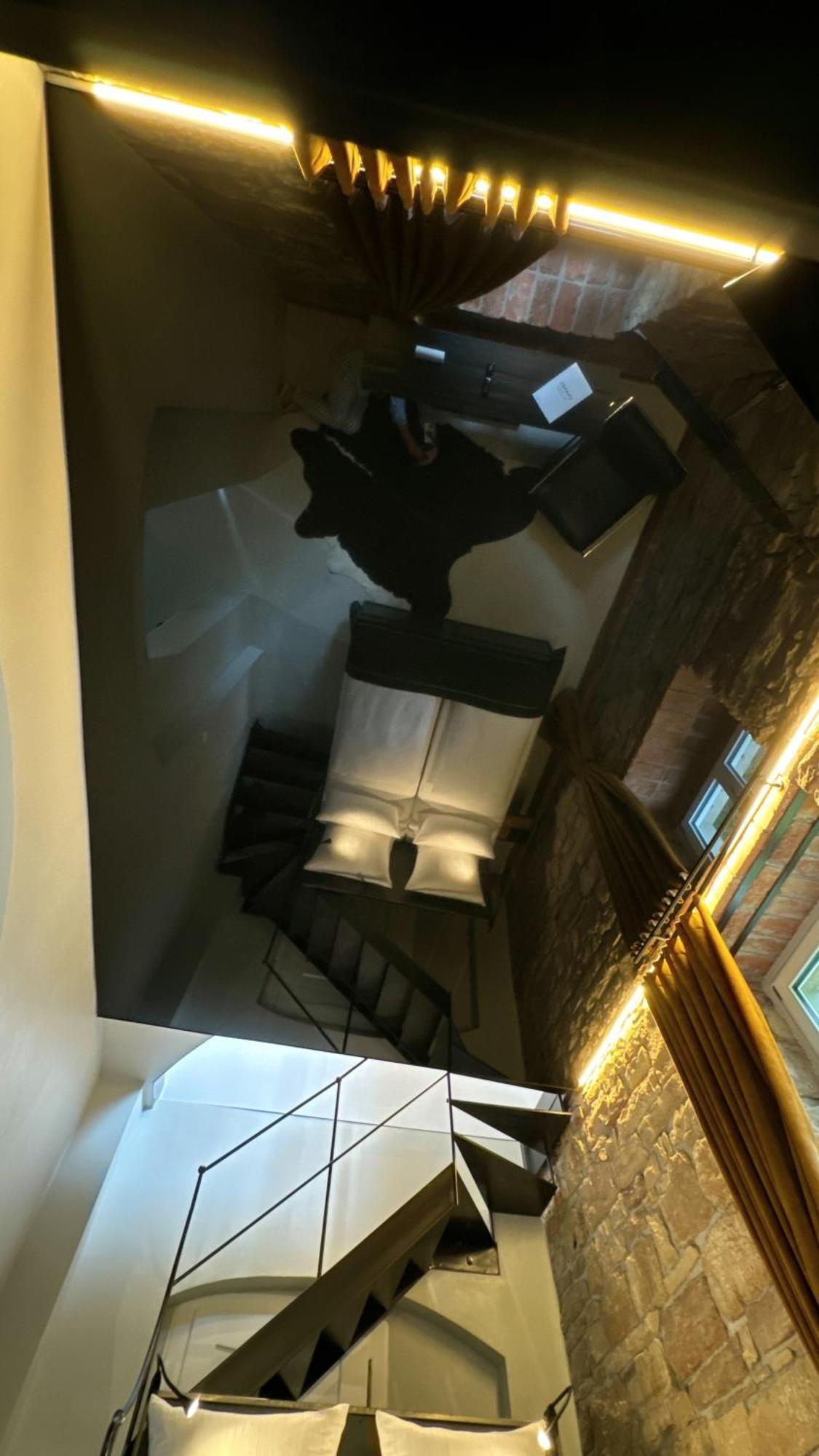 Historical Luxury Homes - Luxus Loft Wallstreet Freiburg im Breisgau Exteriör bild