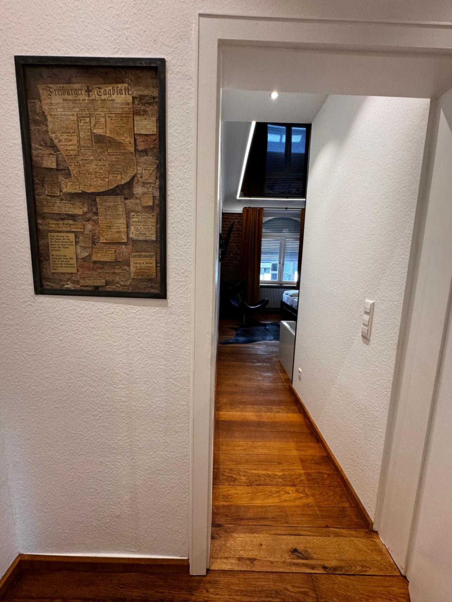 Historical Luxury Homes - Luxus Loft Wallstreet Freiburg im Breisgau Exteriör bild