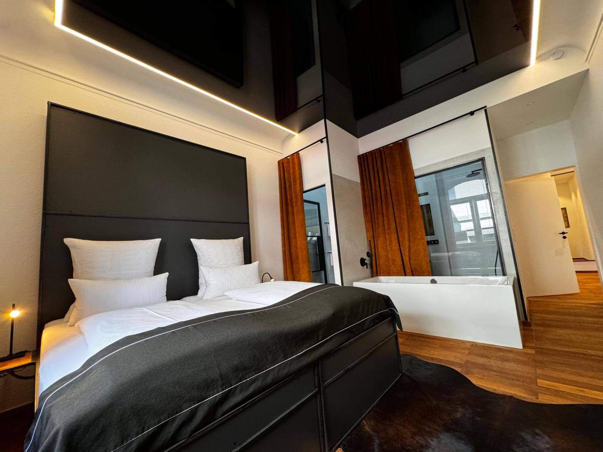 Historical Luxury Homes - Luxus Loft Wallstreet Freiburg im Breisgau Exteriör bild